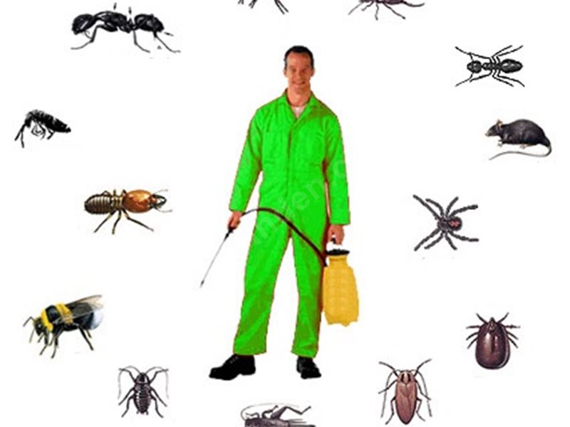 Çiçekdağı Böcek İlaçlama